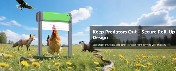Pretty sure this chicken is f*cked.